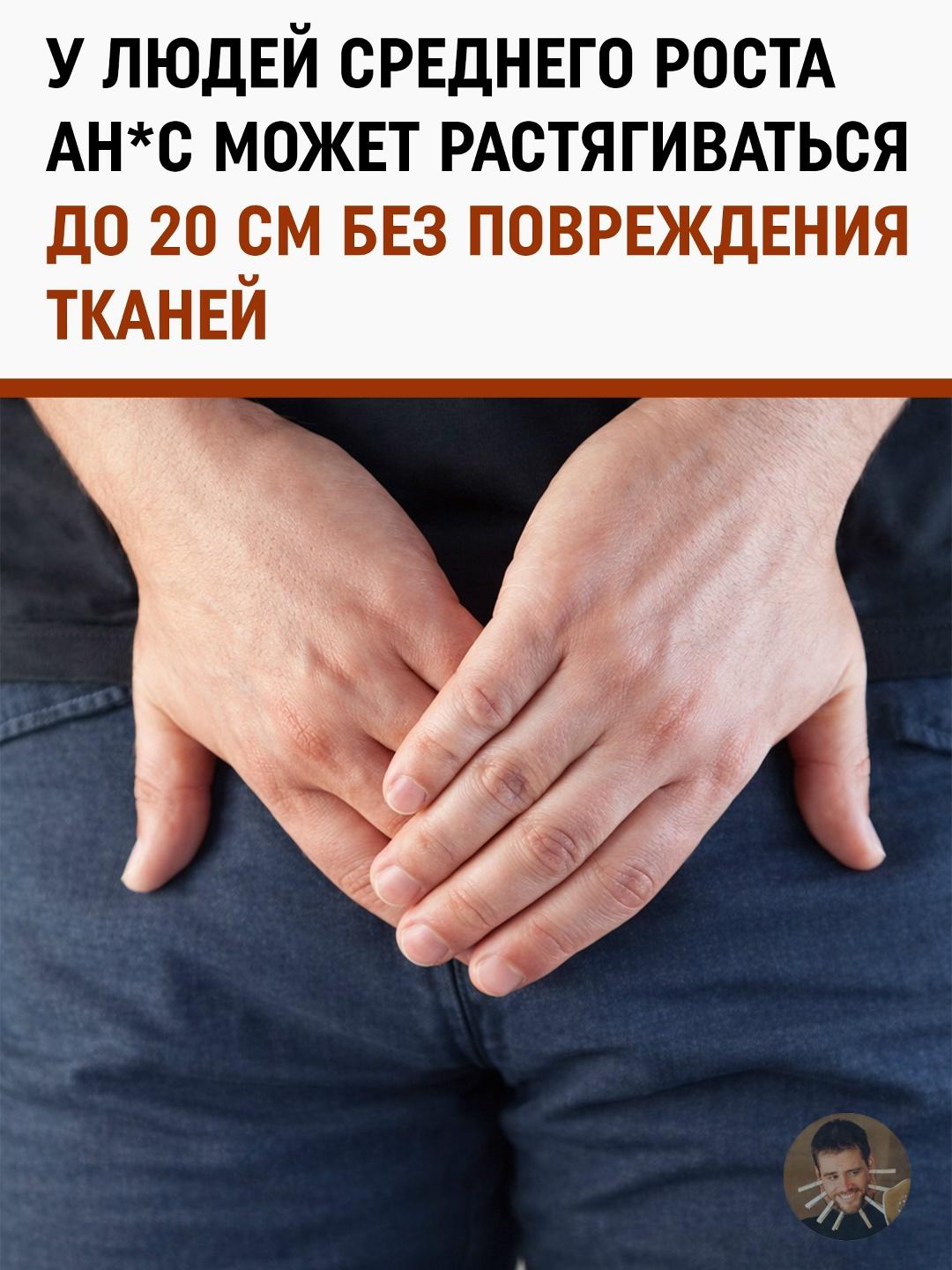 20 сантиметров эластичности: шокирующая статистика из мира научно-популярных журналов