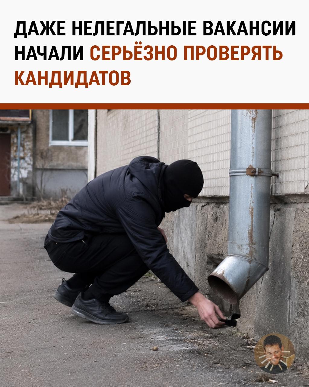 Вакансия с карьерным ростом до колонии: даже закладчиков теперь берут после тестового