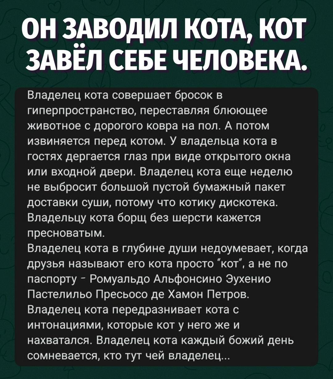 Кот живёт как аристократ, человек — по разрешению