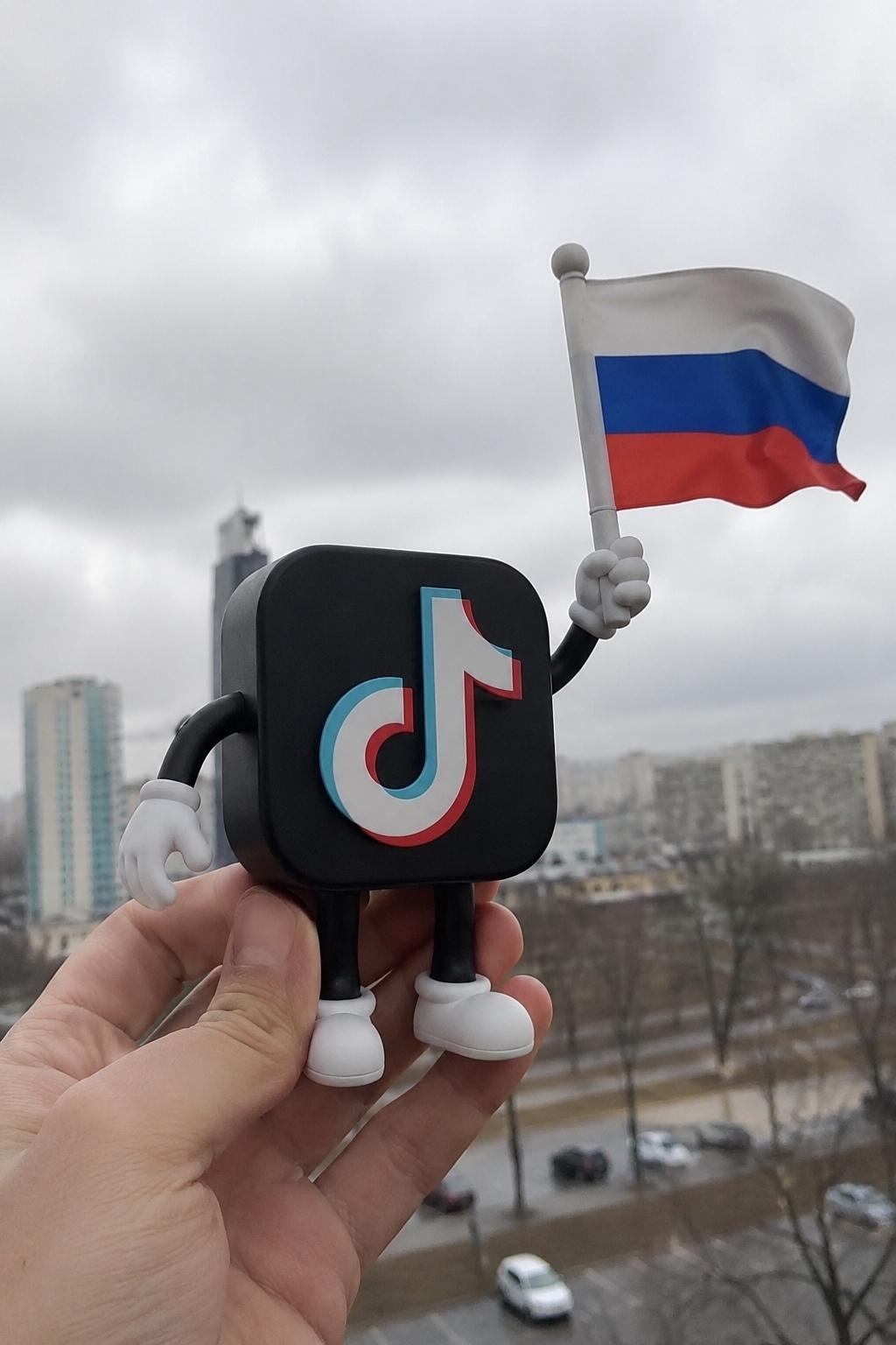 Екатерина Мизулина заявила, что TikTok скоро сможет вернуться в Россию