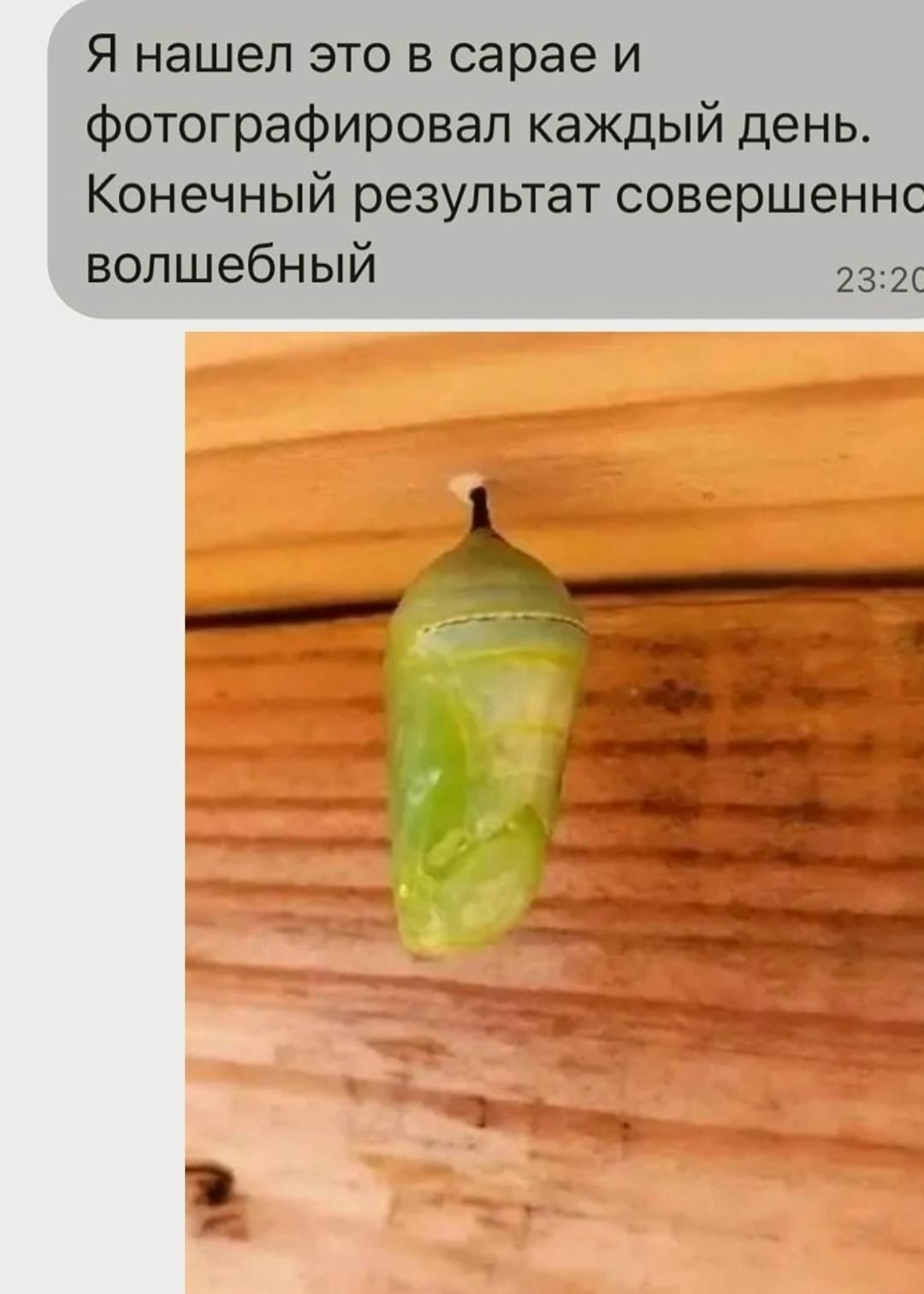 Валера ну ыт даешь
