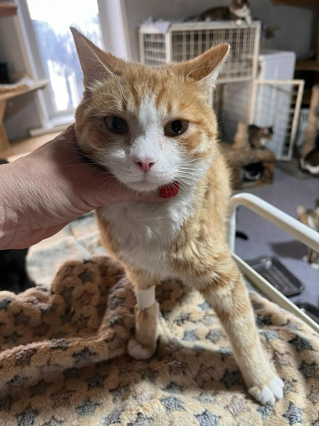 «Мы тонем. И нам очень нужна ваша рука!