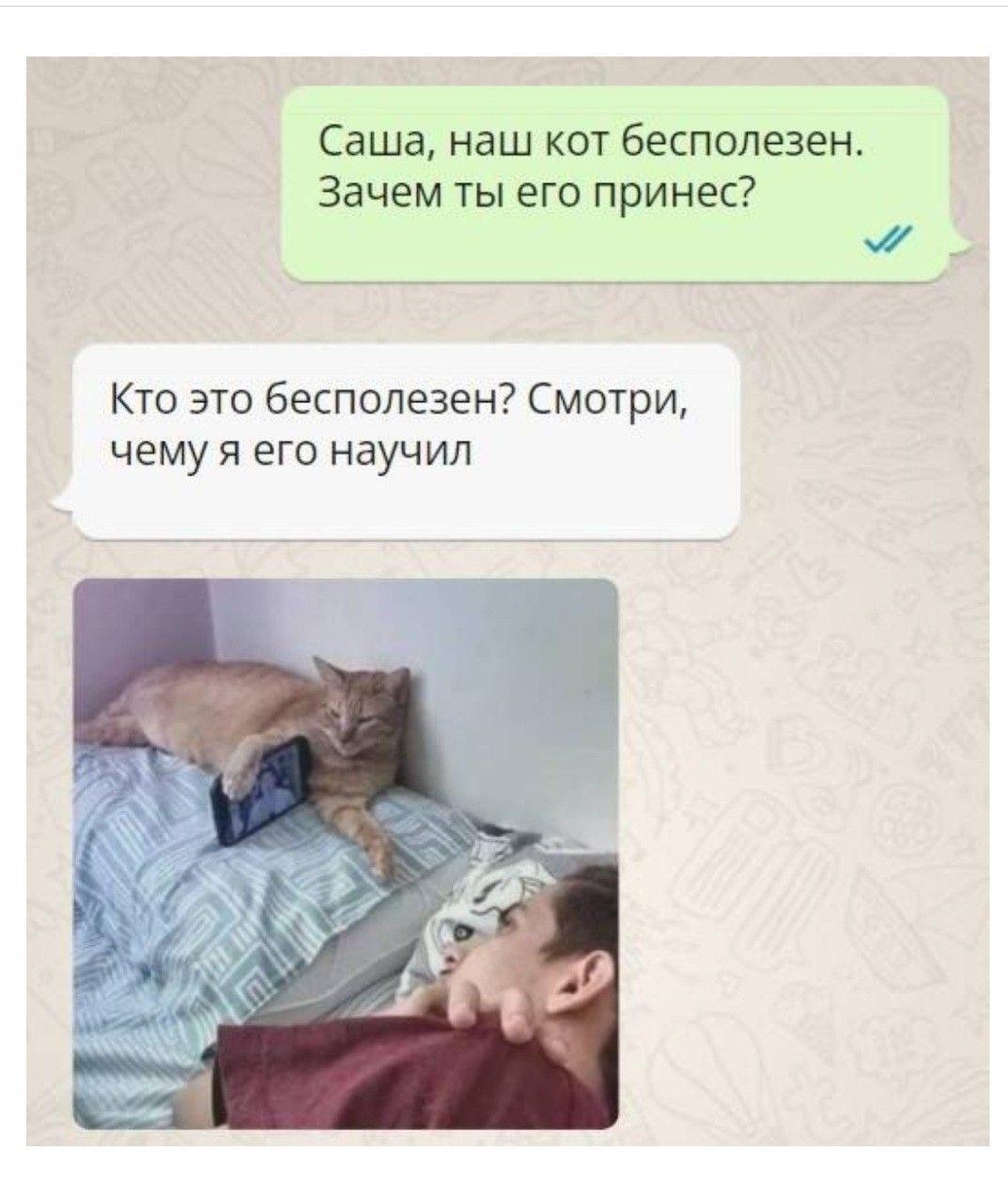 Доброе утро