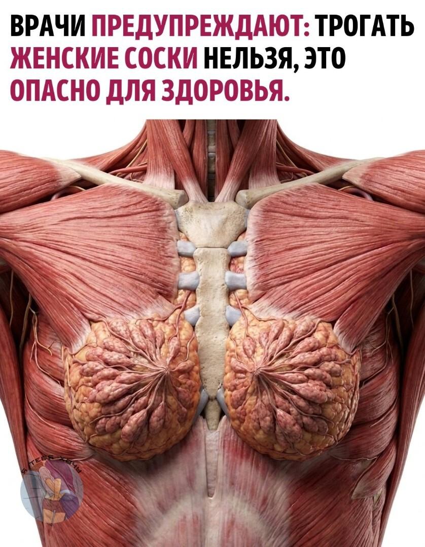 Специалисты утверждают, что при слишком частом воздействии на эту зону в организме женщины начинают активно вырабатываться пролактин и гормоны лактации