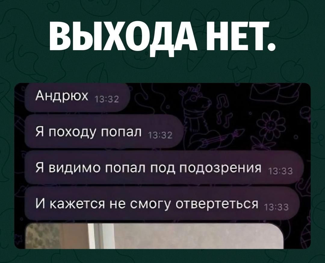 Парень пишет, что попал под подозрение и вряд ли сможет отвертеться, а затем присылает фото главного следователя по делу.
