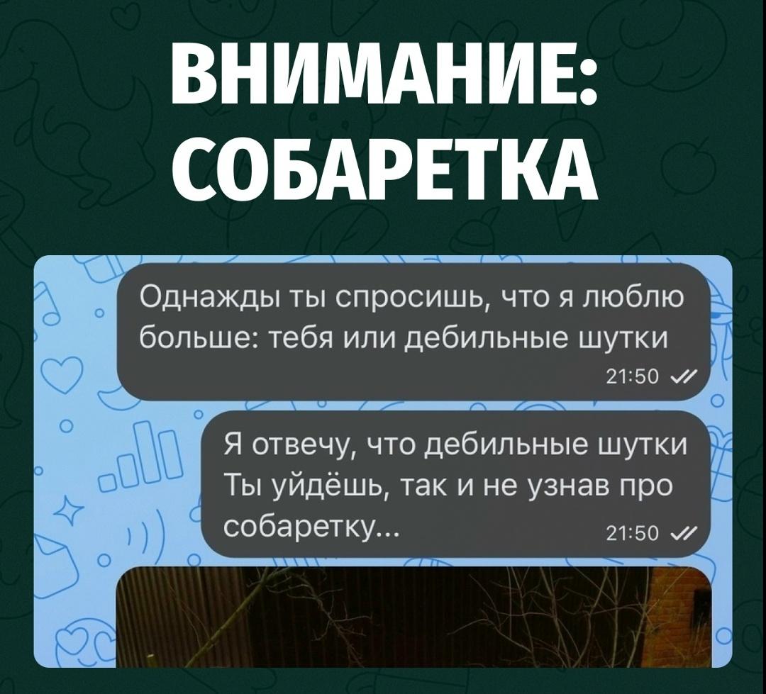В переписке молодой человек честно предупредил девушку, что однажды ей придётся конкурировать с его дебильными шутками и победа будет не на её стороне.