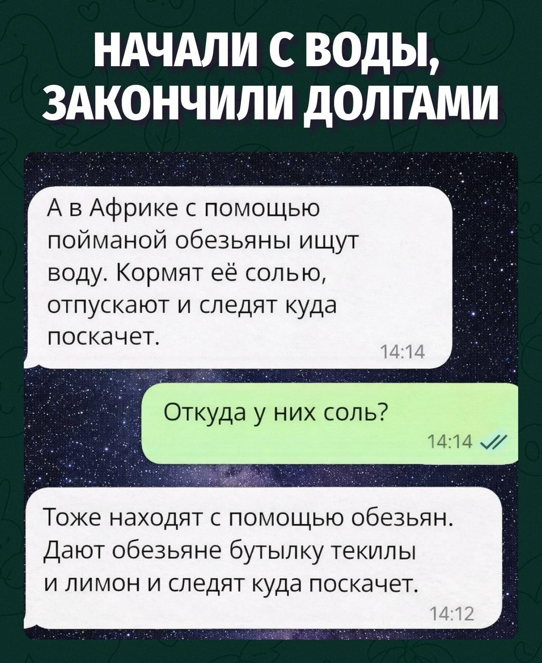 Обезьяна пошла за водой, вернулась с долгами и текилой