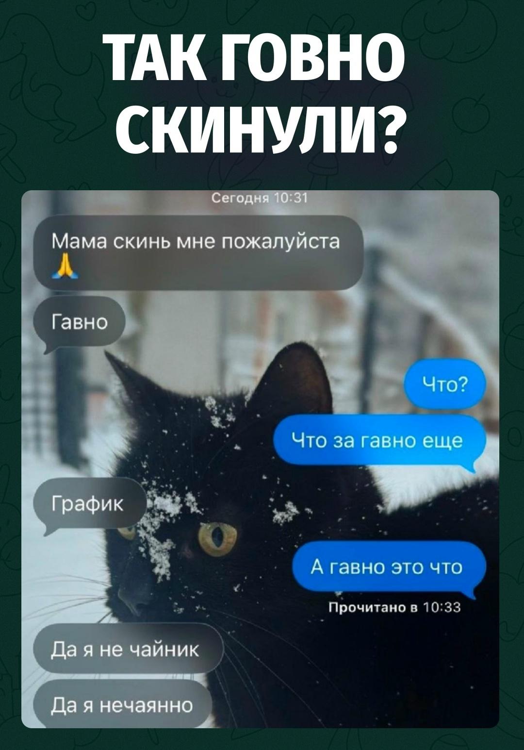 Мама просто посмотрела на твой график и отправила краткое резюме