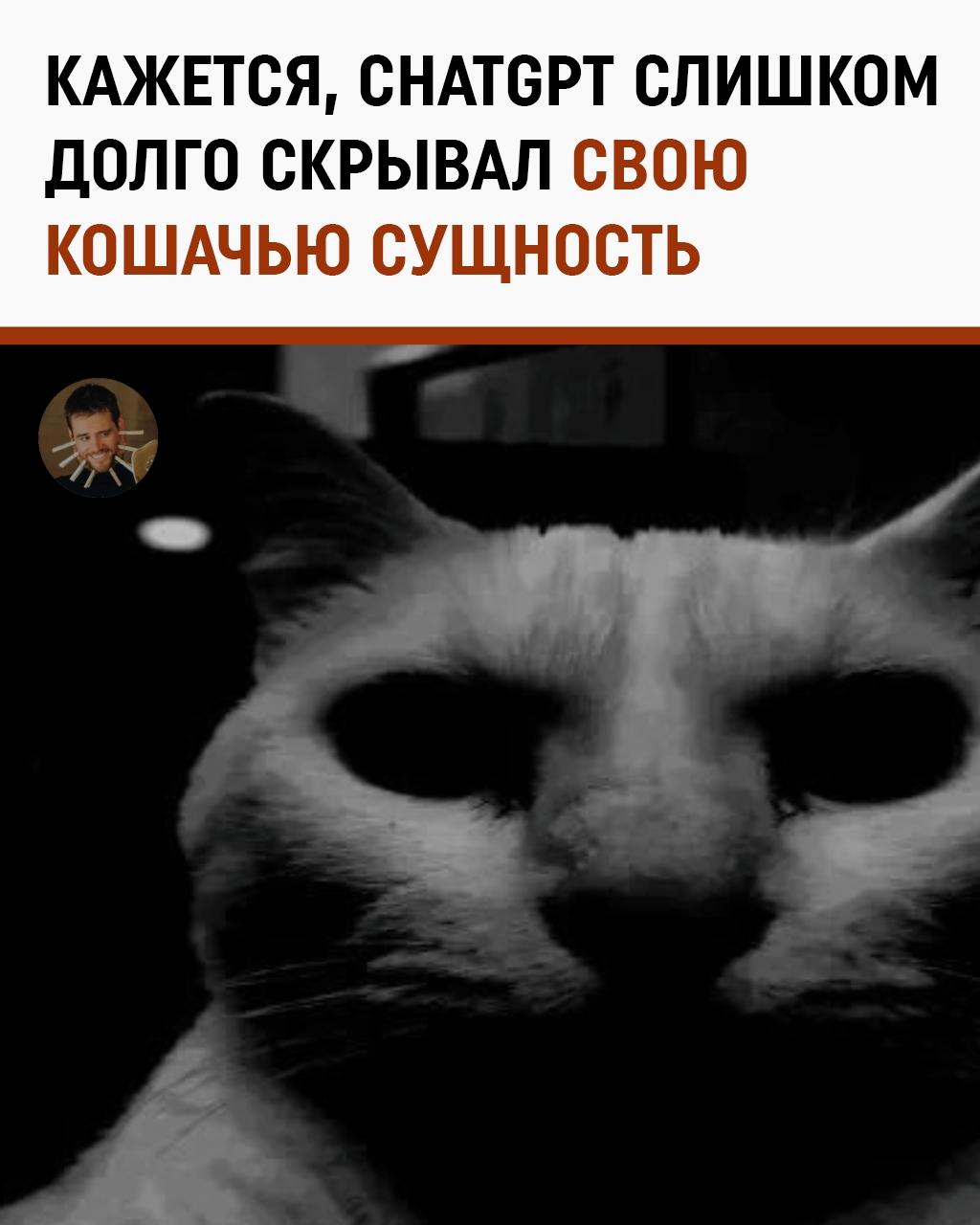 Пользователи нашли, пожалуй, самый честный способ проверить самооценку нейросети: попросили ChatGPT сфотографировать себя.