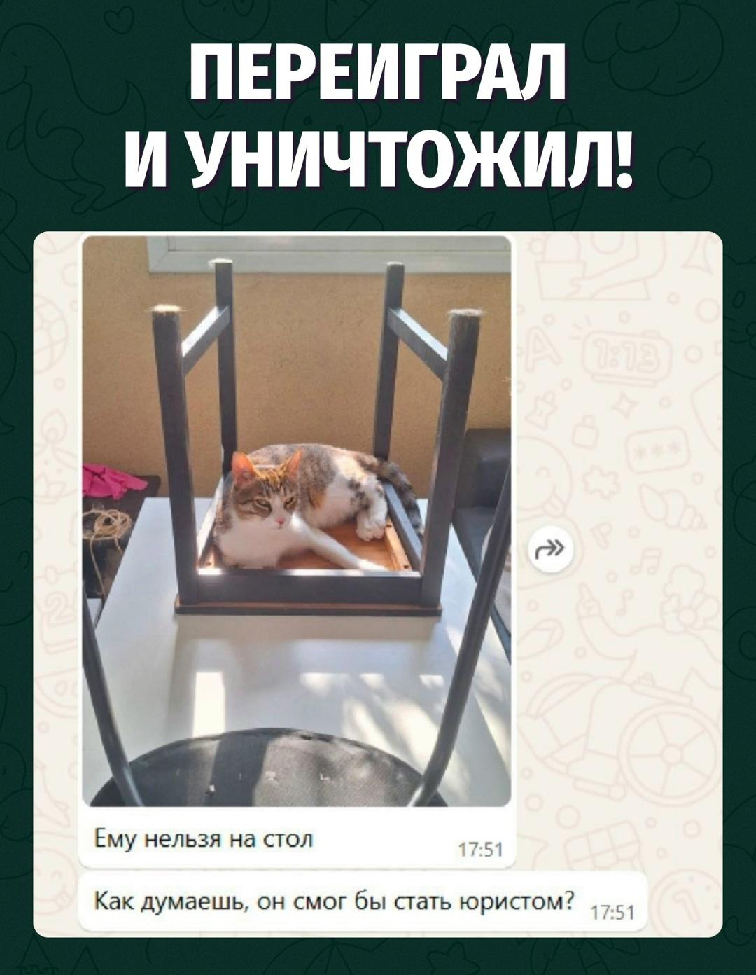 Он не на столе — он над законом