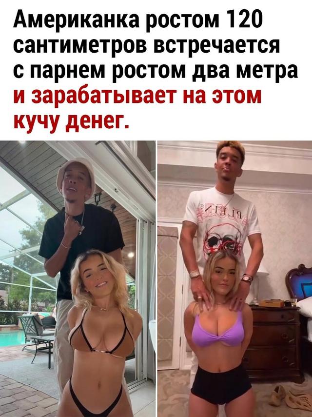 Несите хомяка