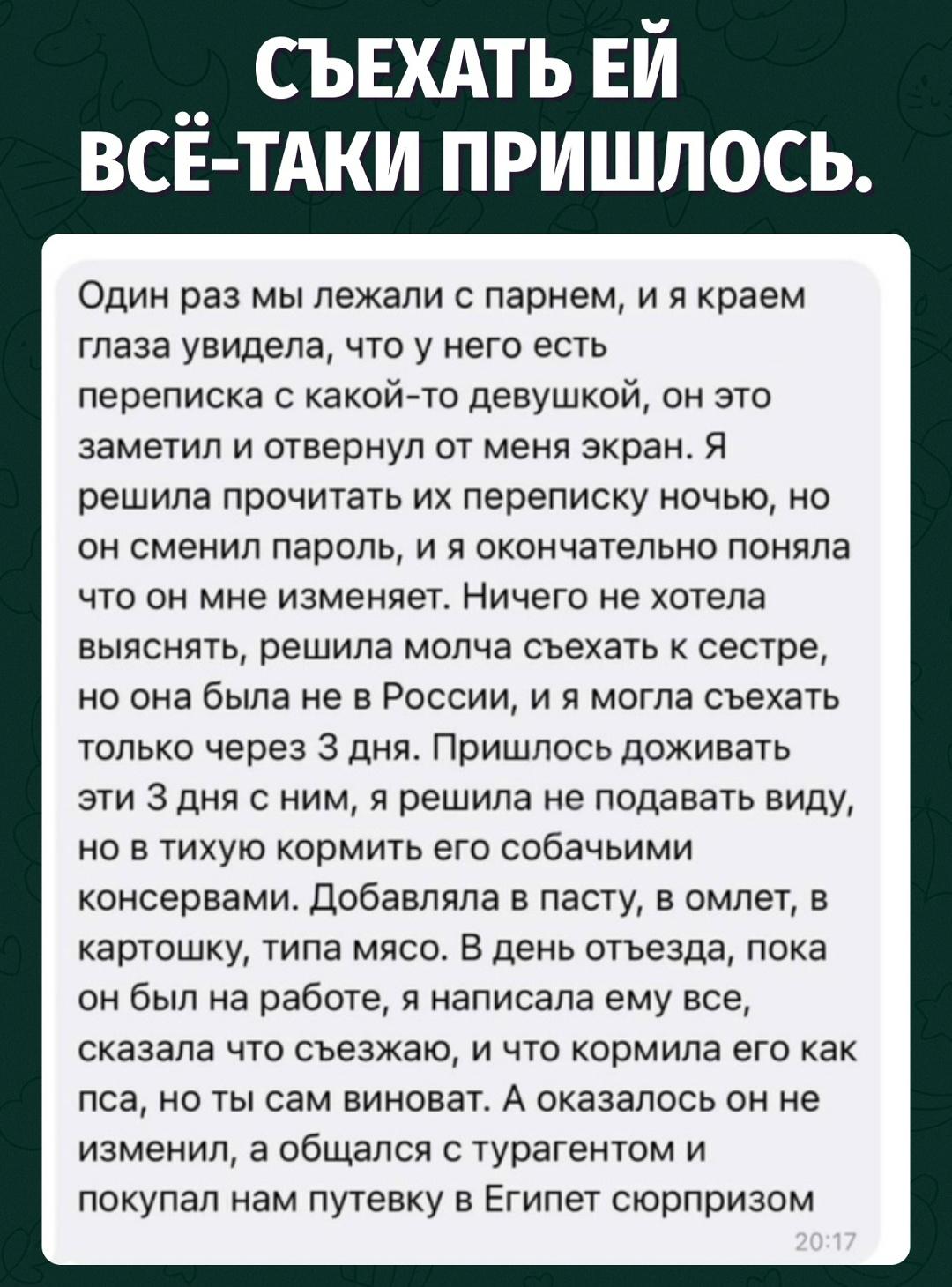 Ревность — страшная вещь: три дня кормила пса, а он готовил Египет