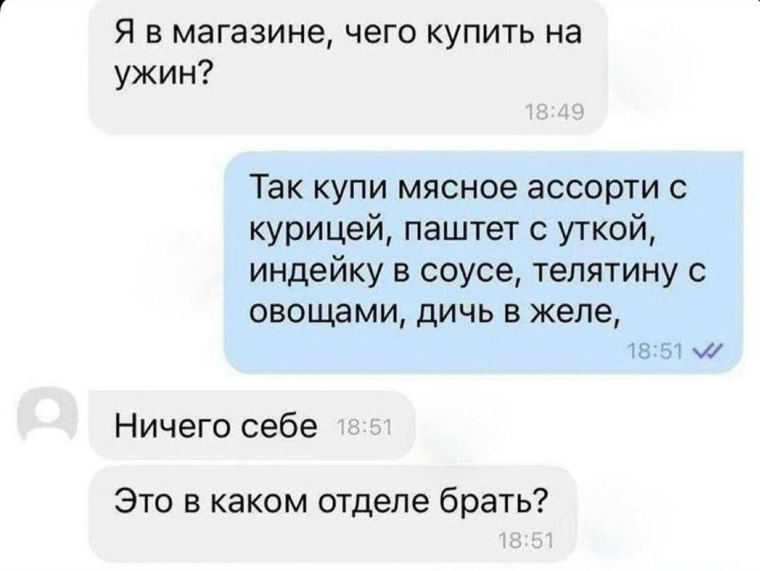 То чувство, когда ваш кот живет намного лучше вас