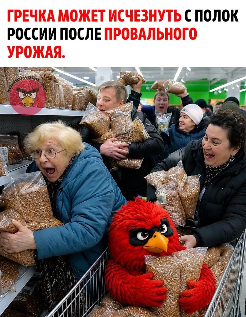 Россия рискует столкнуться с новым скачком цен на гречку уже этой осенью: аграрии предупреждают о проблемах с урожаем из-за засухи и кризиса с топливом