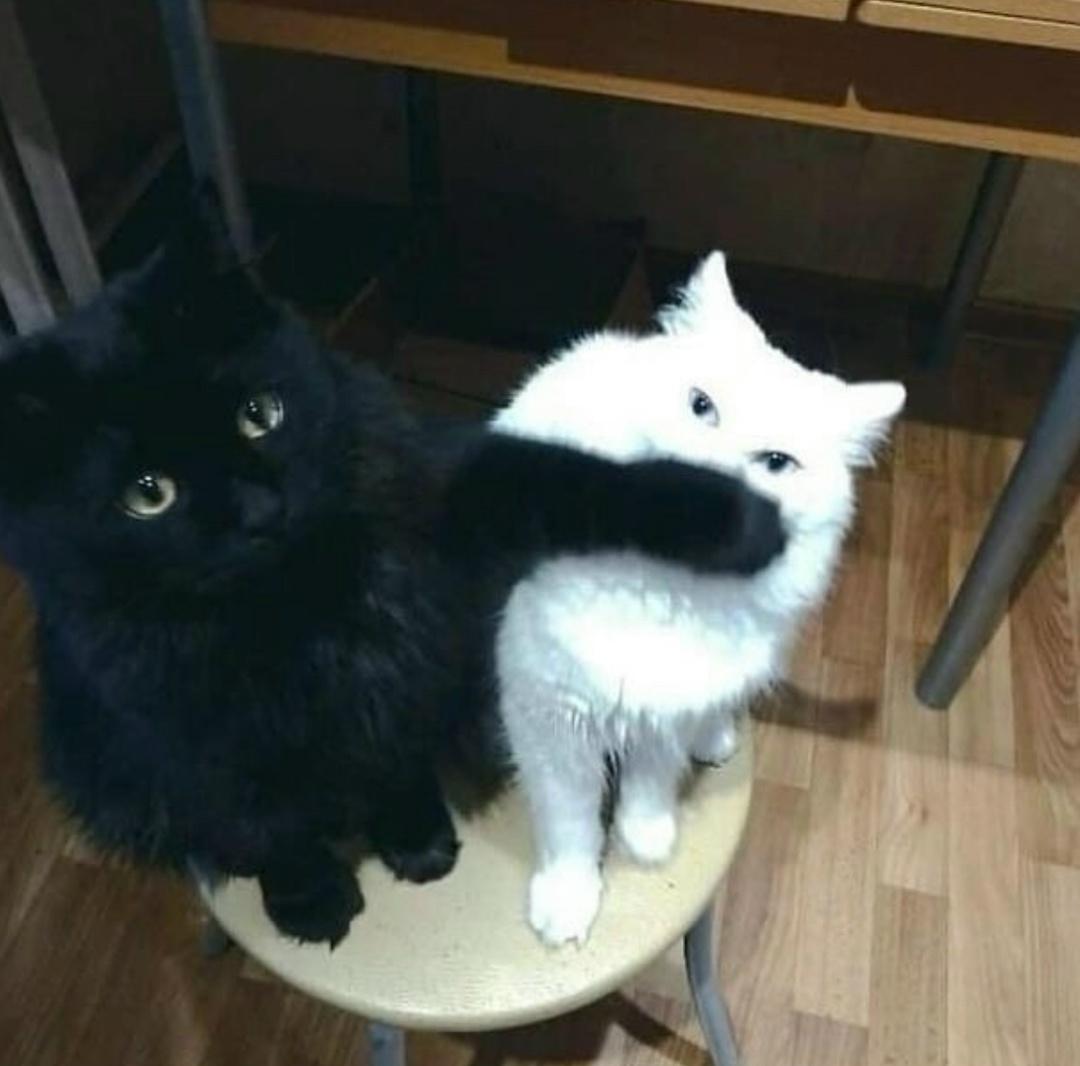 Ну они идеальны же