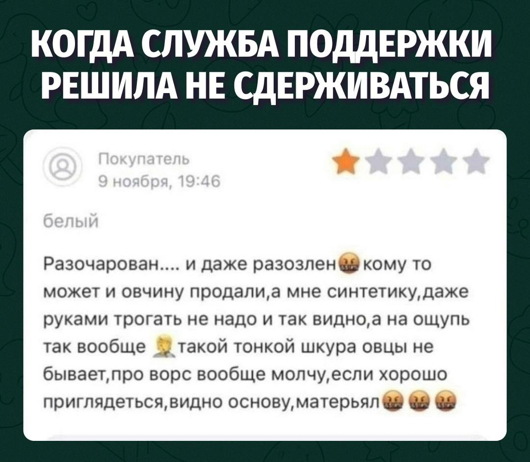 Овца читает этот отзыв и плачет