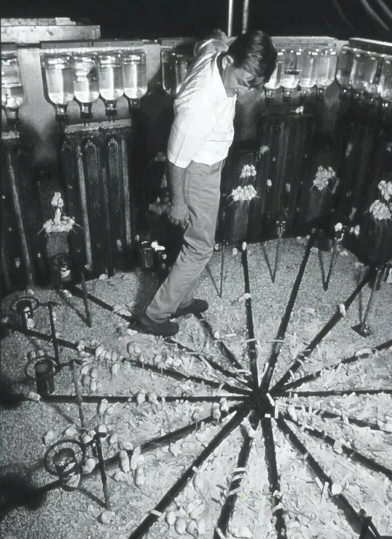 Учёный, который попытался создать рай — и стал свидетелем его гибели