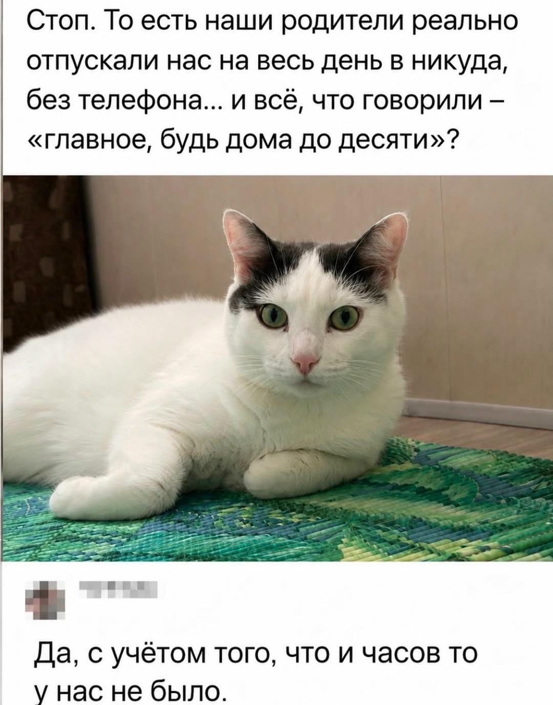 Кому скажи это сейчас, не поверят же