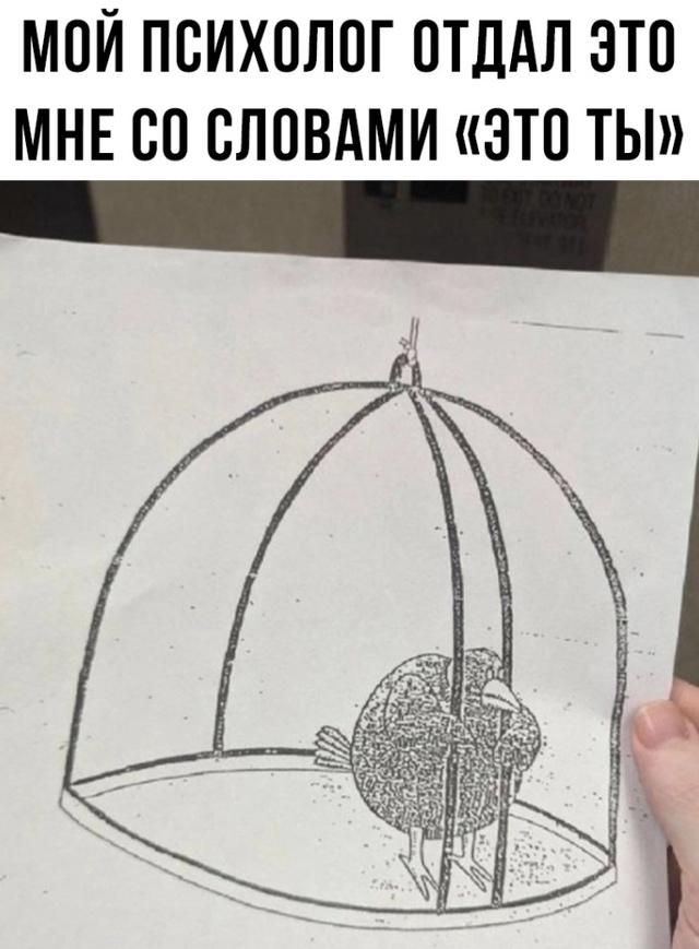 Все мы немного эта птица