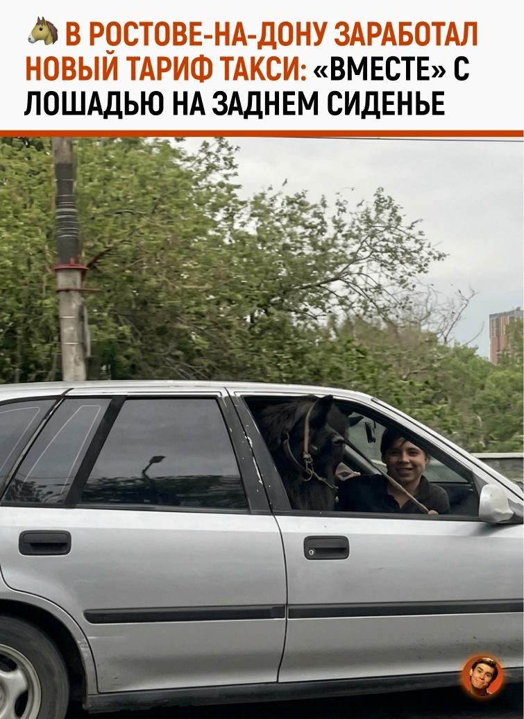 Жители Ростова-на-Дону стали свидетелями картины, которая напрочь ломает все представления о правилах перевозки пассажиров