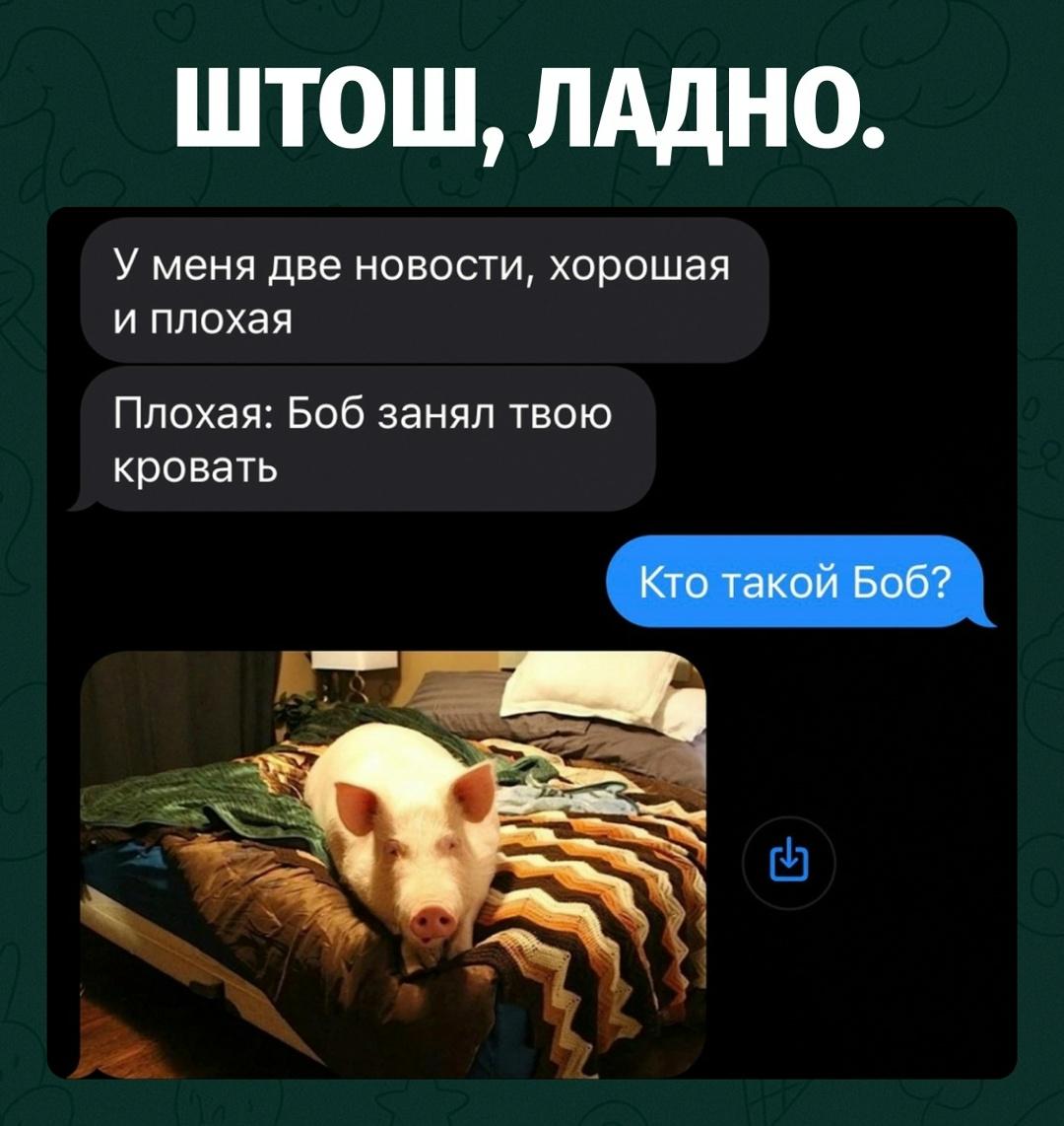 Девушке сообщили две новости: хорошую и плохую. Плохая — некий Боб занял её кровать. Хорошую собеседник раскрывать не стал, потому что фотографии оказалось вполне достаточно.