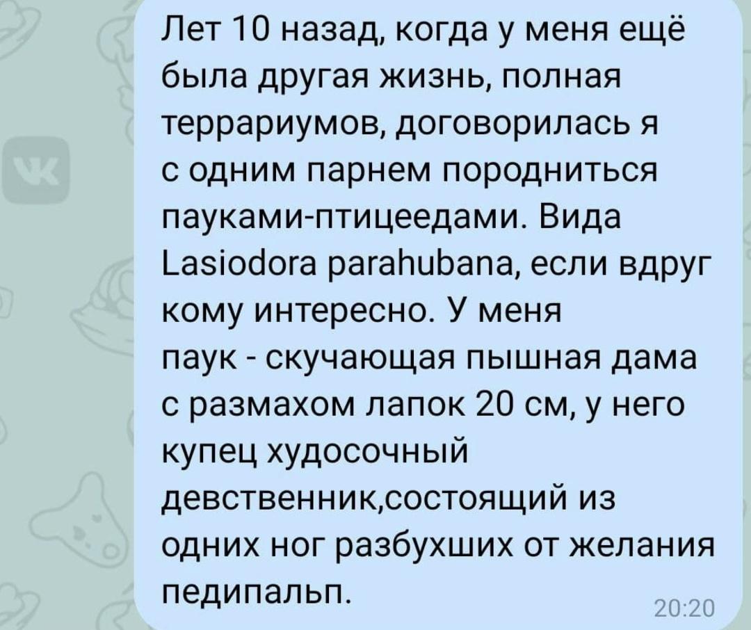 И все довольны