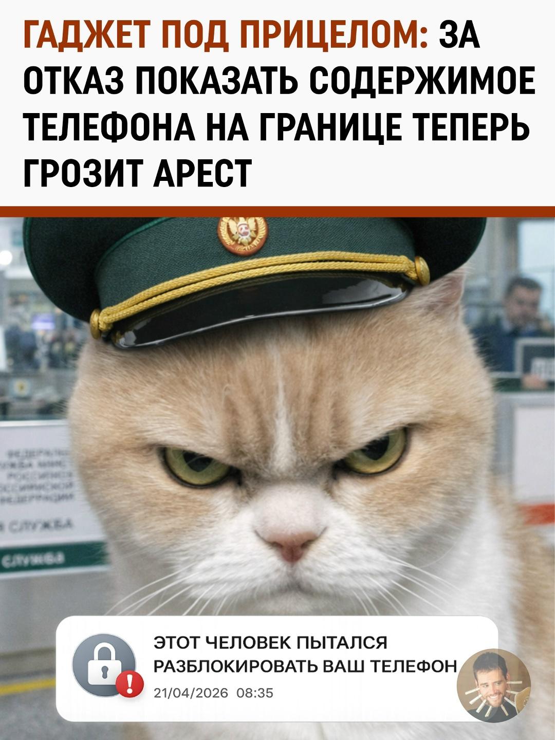 Цифровой досмотр по закону: как проверка смартфона превратилась в обязательную процедуру при въезде