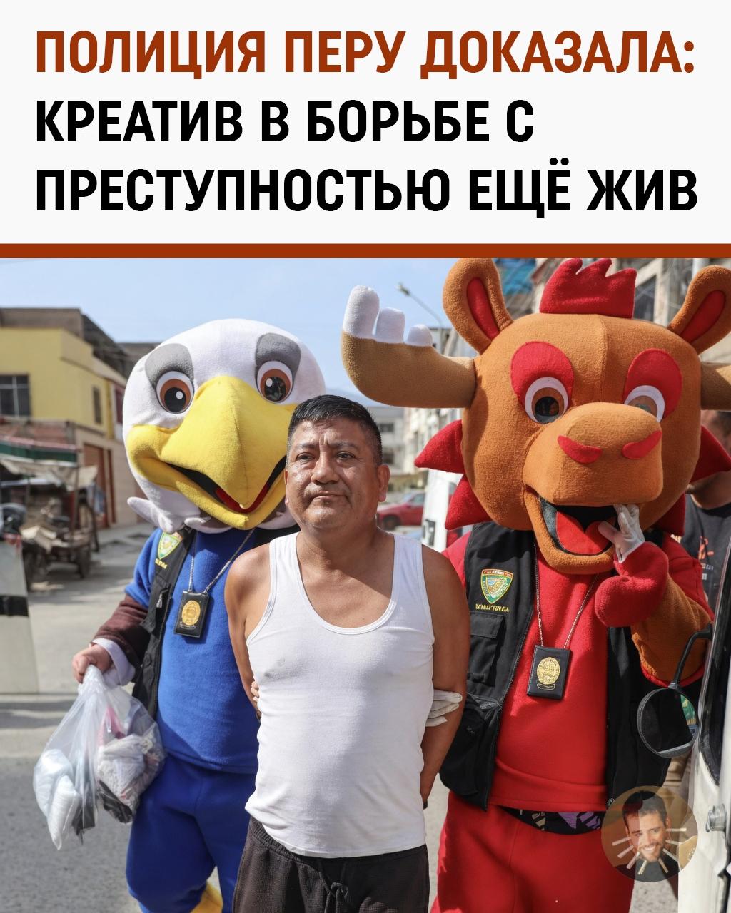 Полиция Перу устроила самый эпичный рейд в истории: переоделись в лося и орла
