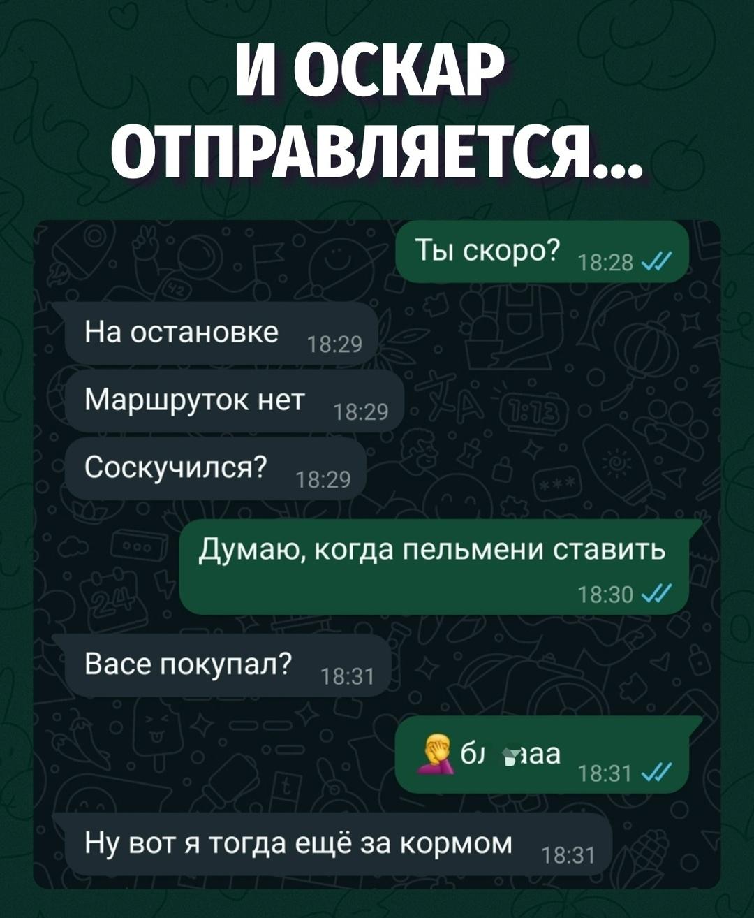 Скорая помощь для кота, который не получил ужин вовремя