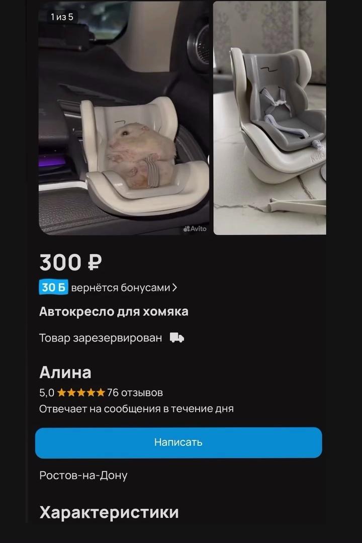 На Авито появилось необычное предложение — автокресло для хомяка. За 300 рублей можно обзавестись аксессуаром, чтобы брать пушистого питомца с собой в поездки.