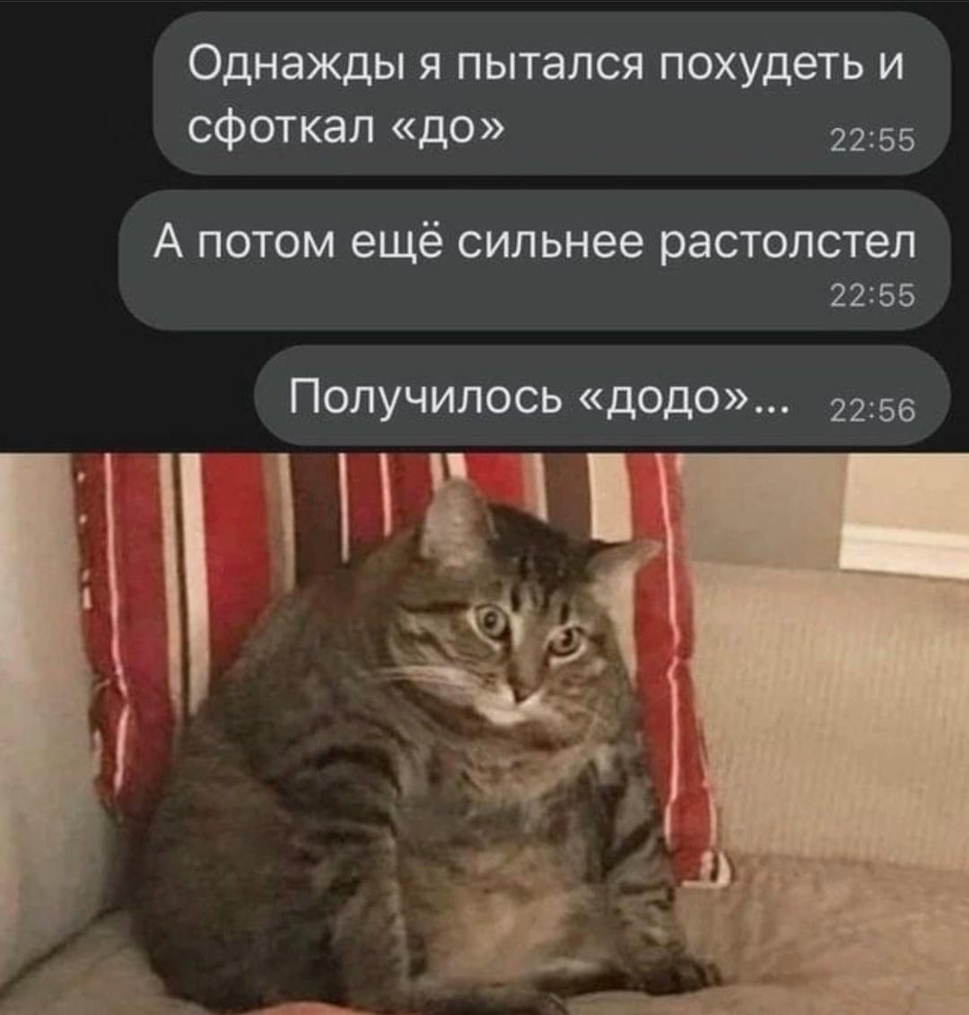 Жизнь додо