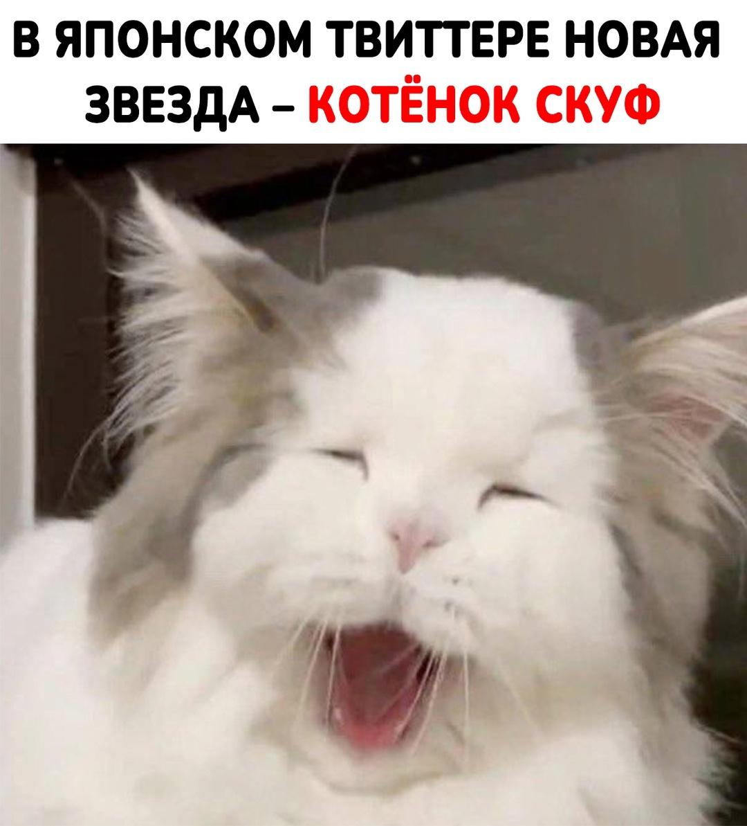 Ну все, теперь ему нужна альтушка