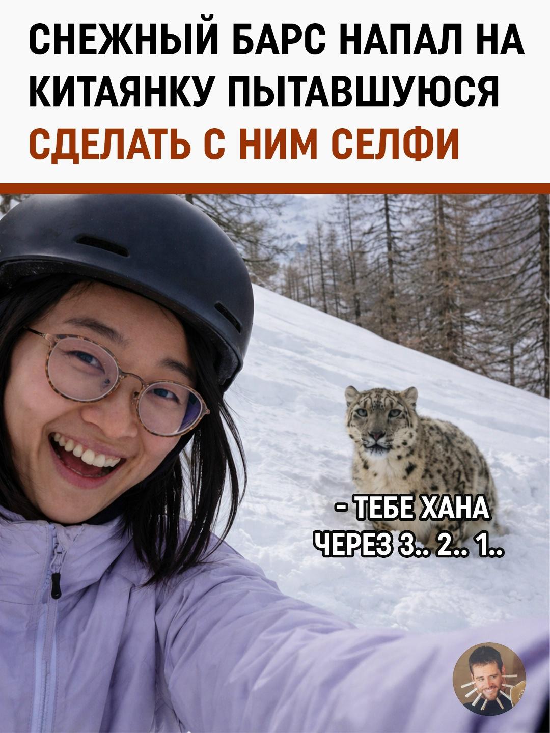 Желание сделать «уникальный контент» едва не превратило горнолыжный курорт в Китае в декорации для хоррора. Одна из туристок заметила на склоне снежного барса и решила, что перед ней — идеальный фон для сэлфи.