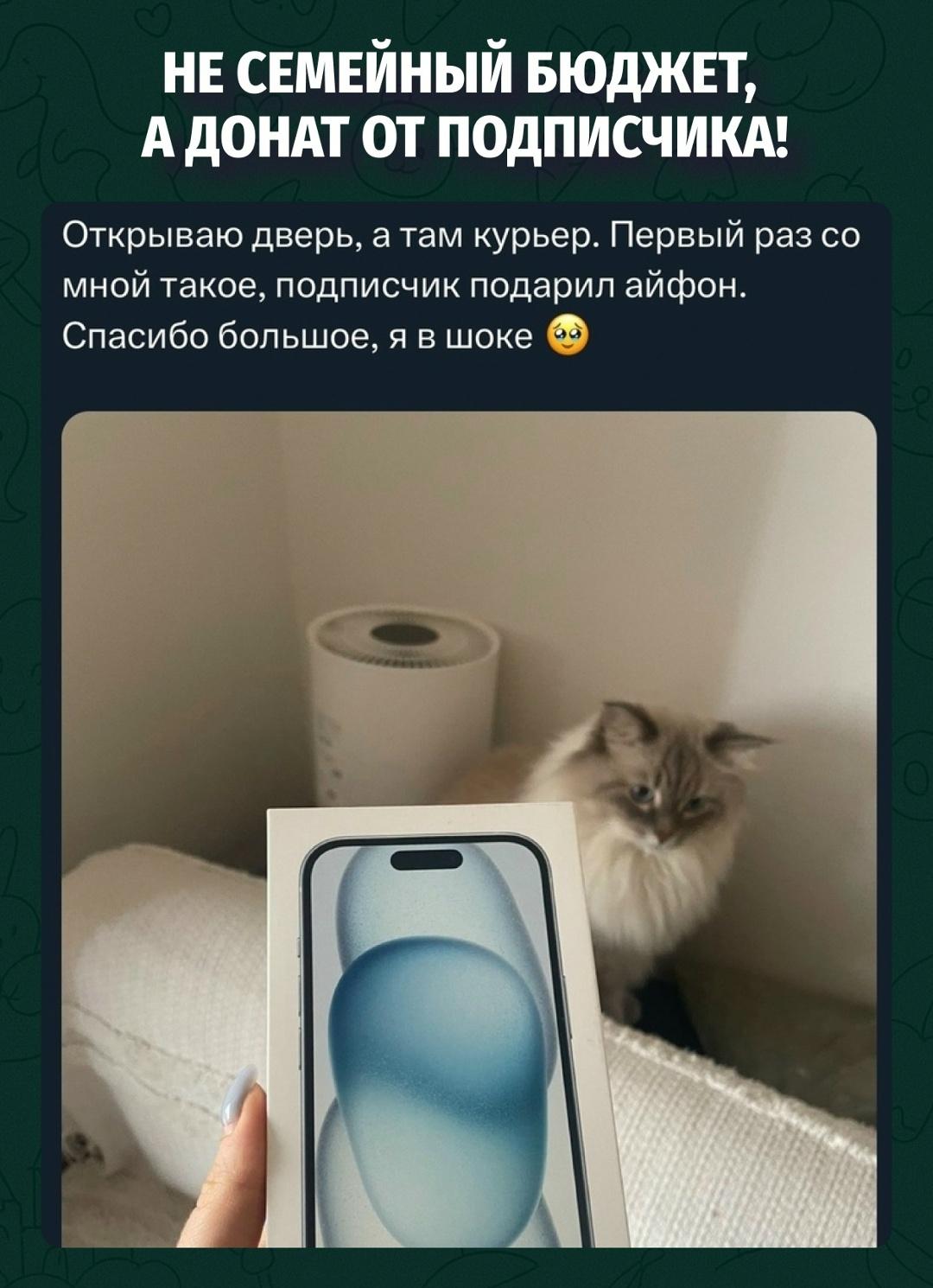 Самое смешное, что она вообще не соврала: он ведь реально на неё подписан