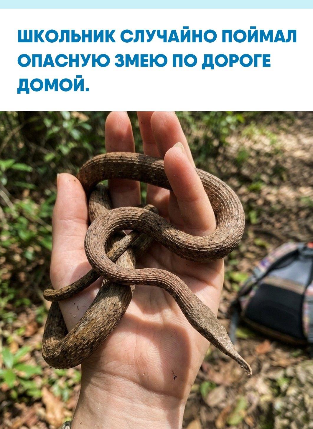 Мальчик поднял странную находку, возвращаясь с занятий, но мгновенно осознал свою неосторожность