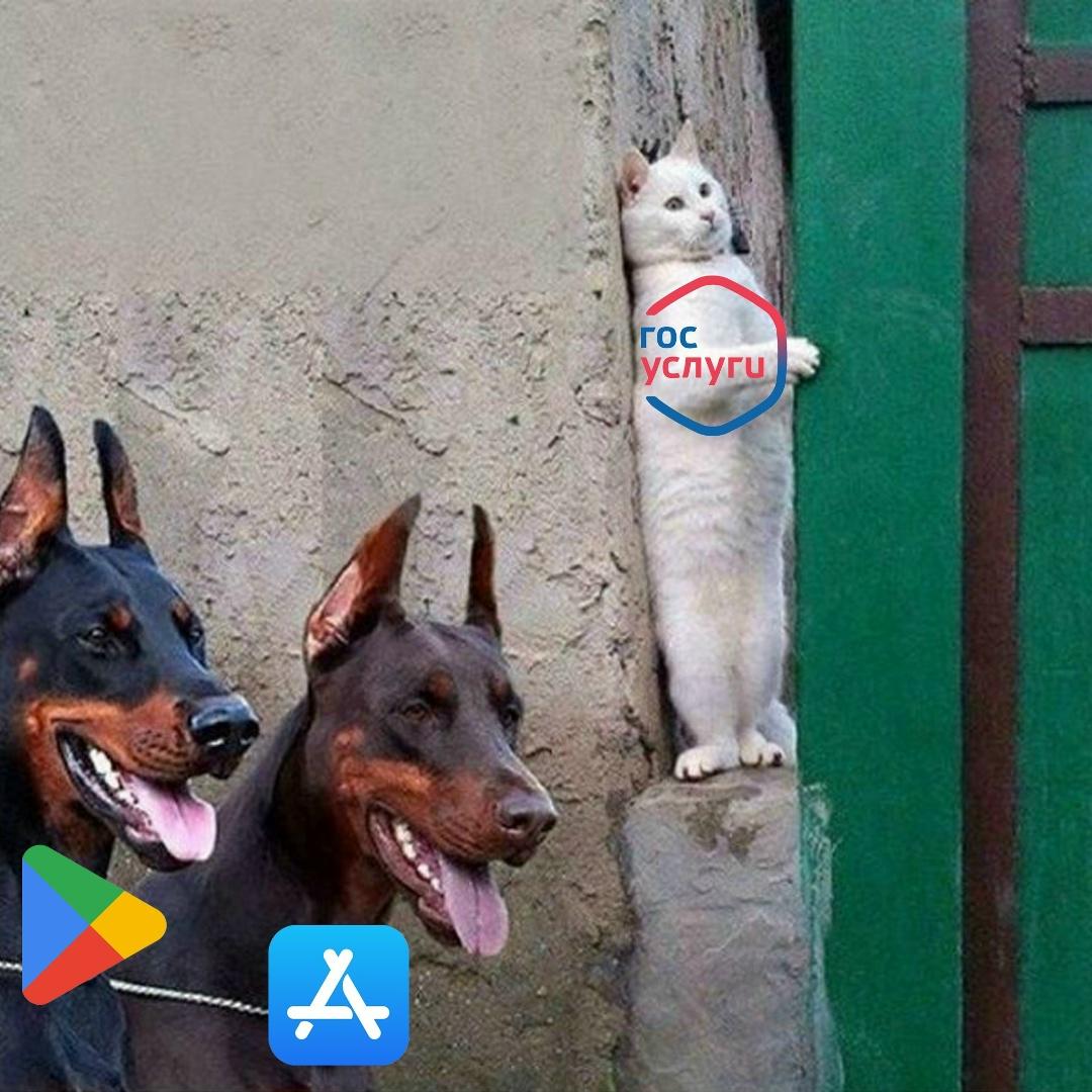 Обстановка