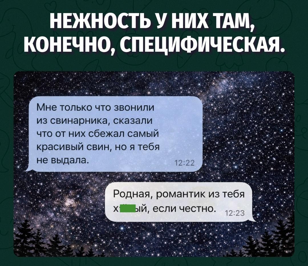 Ты, конечно, гот ещё свин, но мой свин