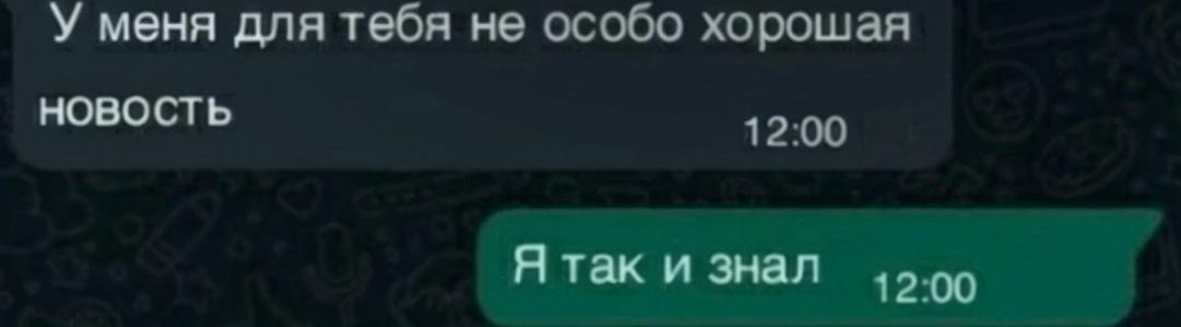 Птица не обманула