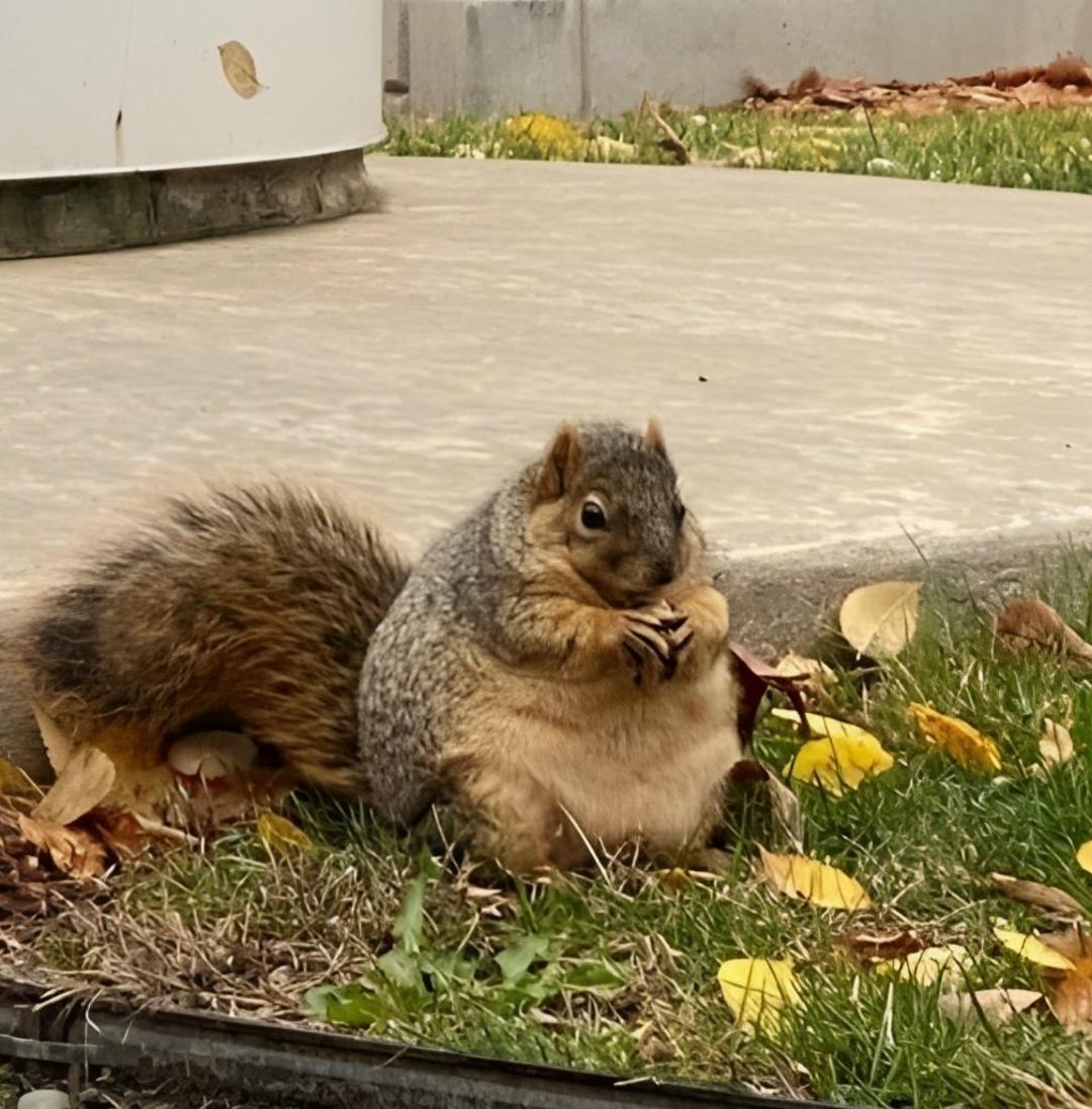 К лету точно уже не успеть