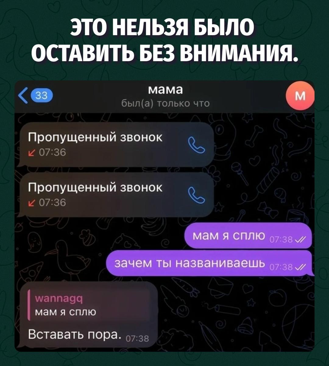 Ты спишь, а где-то кот уже занял стратегическую позицию в тазу