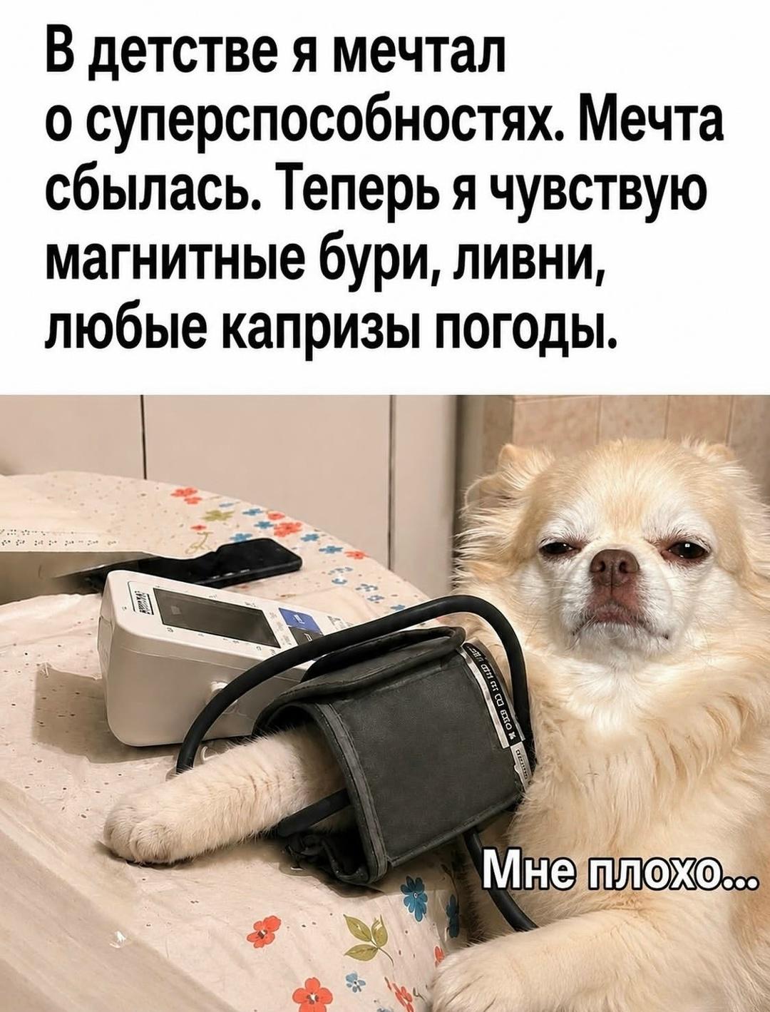 И постоянная паничка