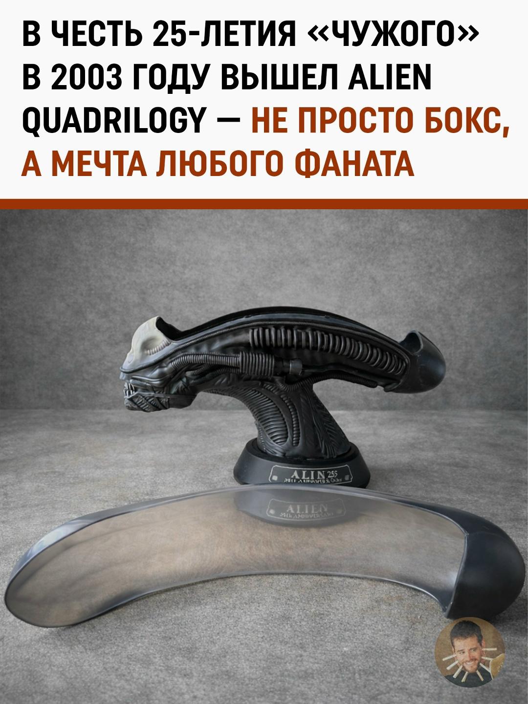 Кошмар коллекционера: как голова ксеноморфа стала самым пугающим украшением интерьера