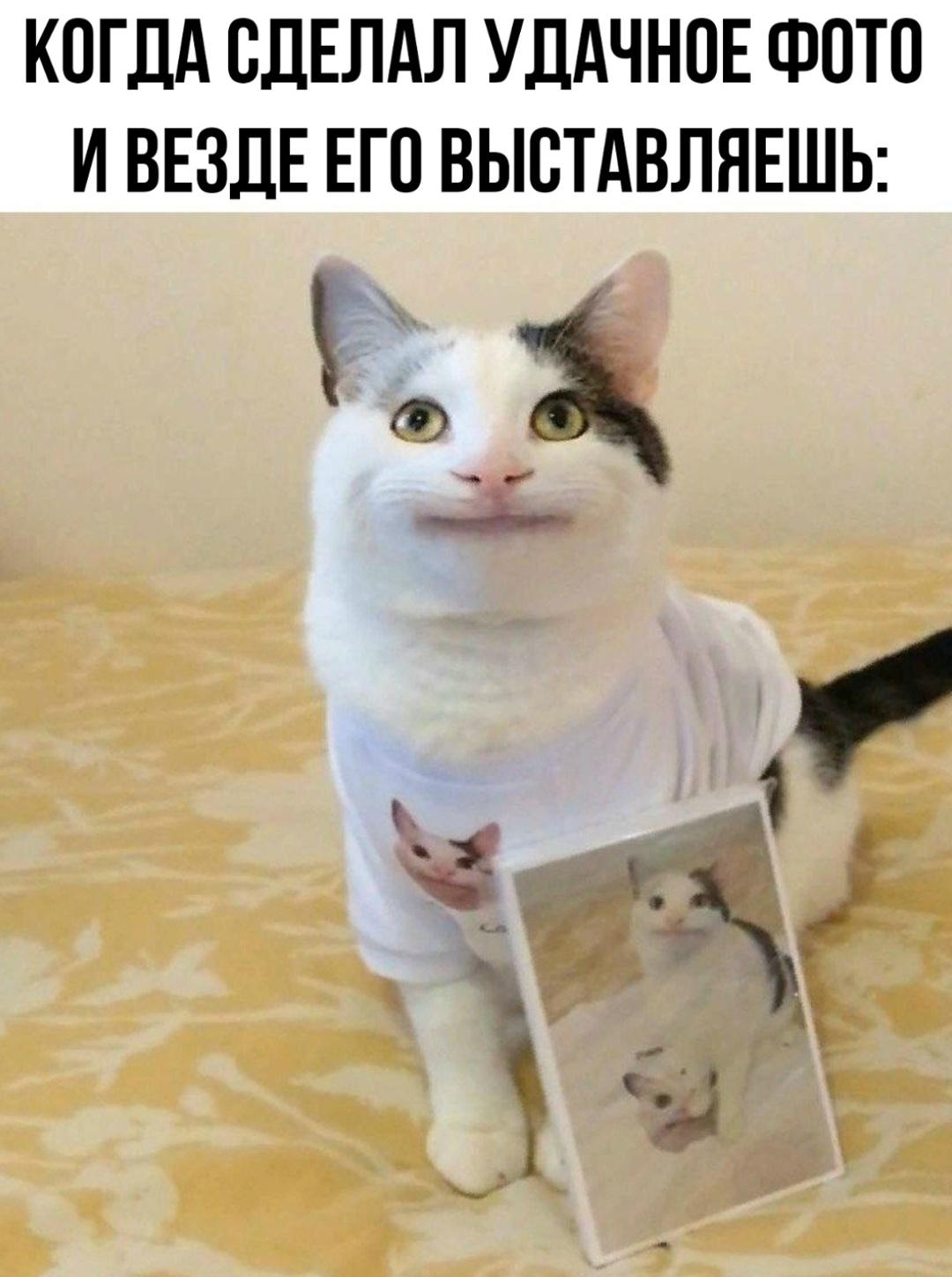 Без комментария