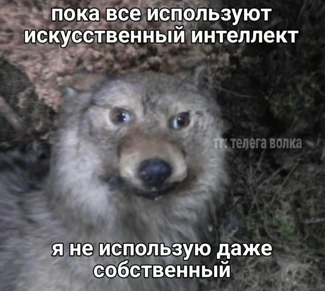 Вот так и живем