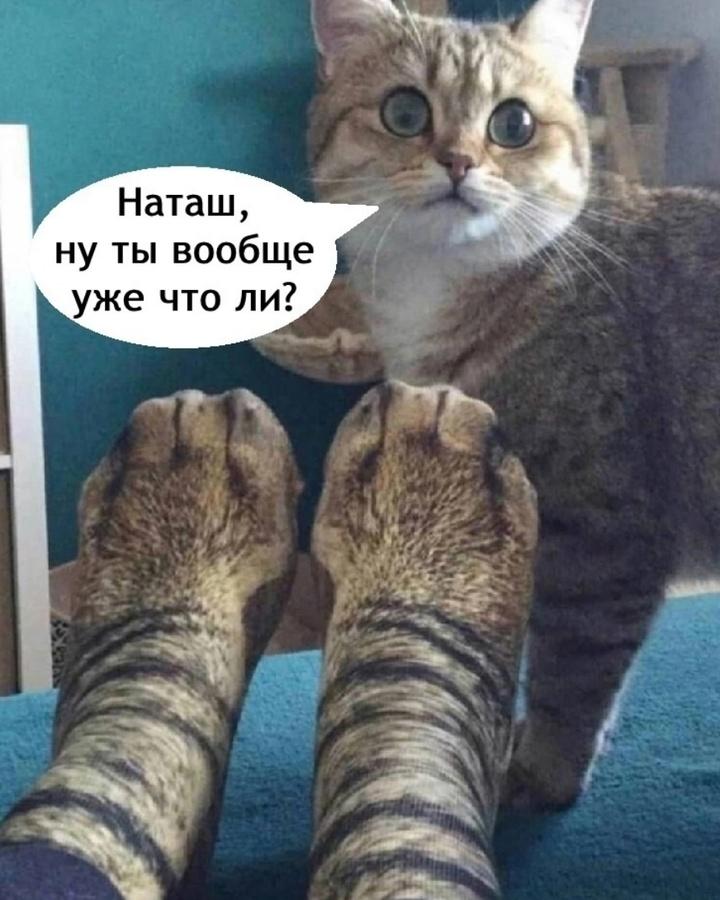 Это же так возмутительно Наталия