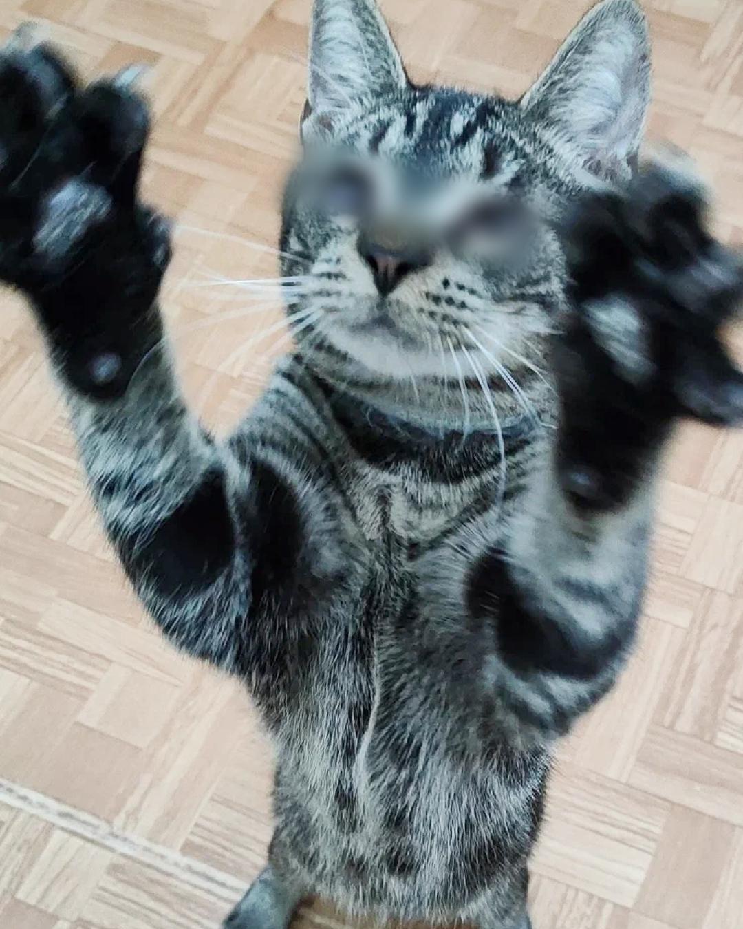 Садисты издевались над ним перед тем как выбросить...