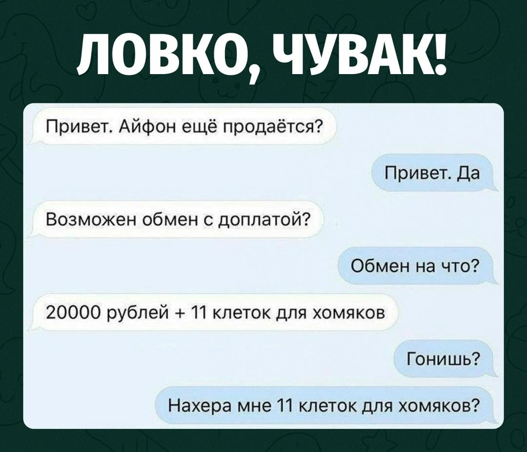Продавцу iPhone предложили необычную сделку: 20 тысяч рублей и 11 клеток для хомяков.