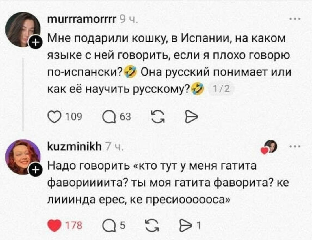 На какой хрен переводчики придумали