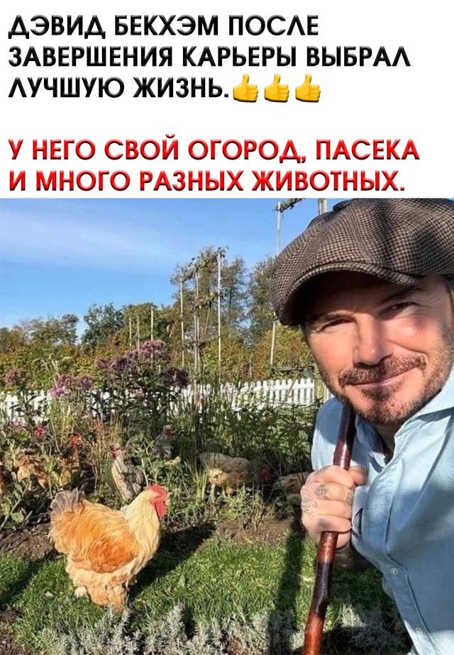 На пенсии все развлечения хороши