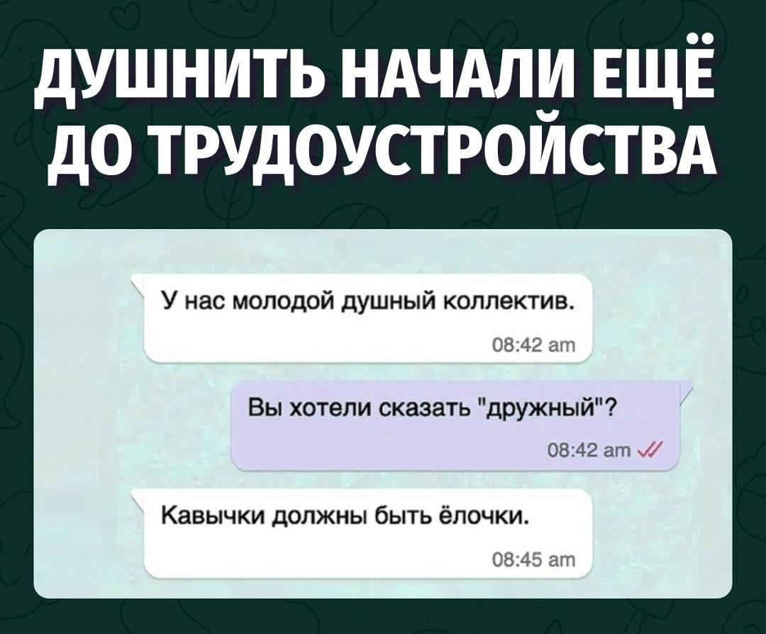 Тут HR не ошибся, а сразу честно показал атмосферу коллектива